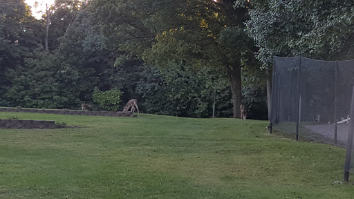 Golf Course «Woodruff Golf Course», reviews and photos, 621 Gougar Rd, Joliet, IL 60432, USA