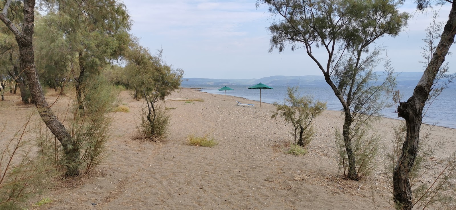 Foto de Kalloni beach II con parcialmente limpio nivel de limpieza