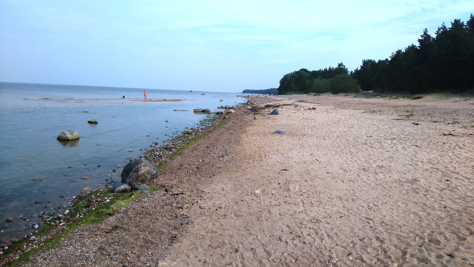 Φωτογραφία του Pabazi beach με επίπεδο καθαριότητας πολύ καθαρό