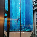 Photo n°2 de l'avis de Mr.i fait le 04/08/2019 à 19:14 sur le  Radisson Collection Hotel, Berlin à Berlin