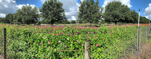 Amusement Center «Stanley Pond Adventure Farm», reviews and photos, 15426 County Rd 48, Astatula, FL 34705, USA