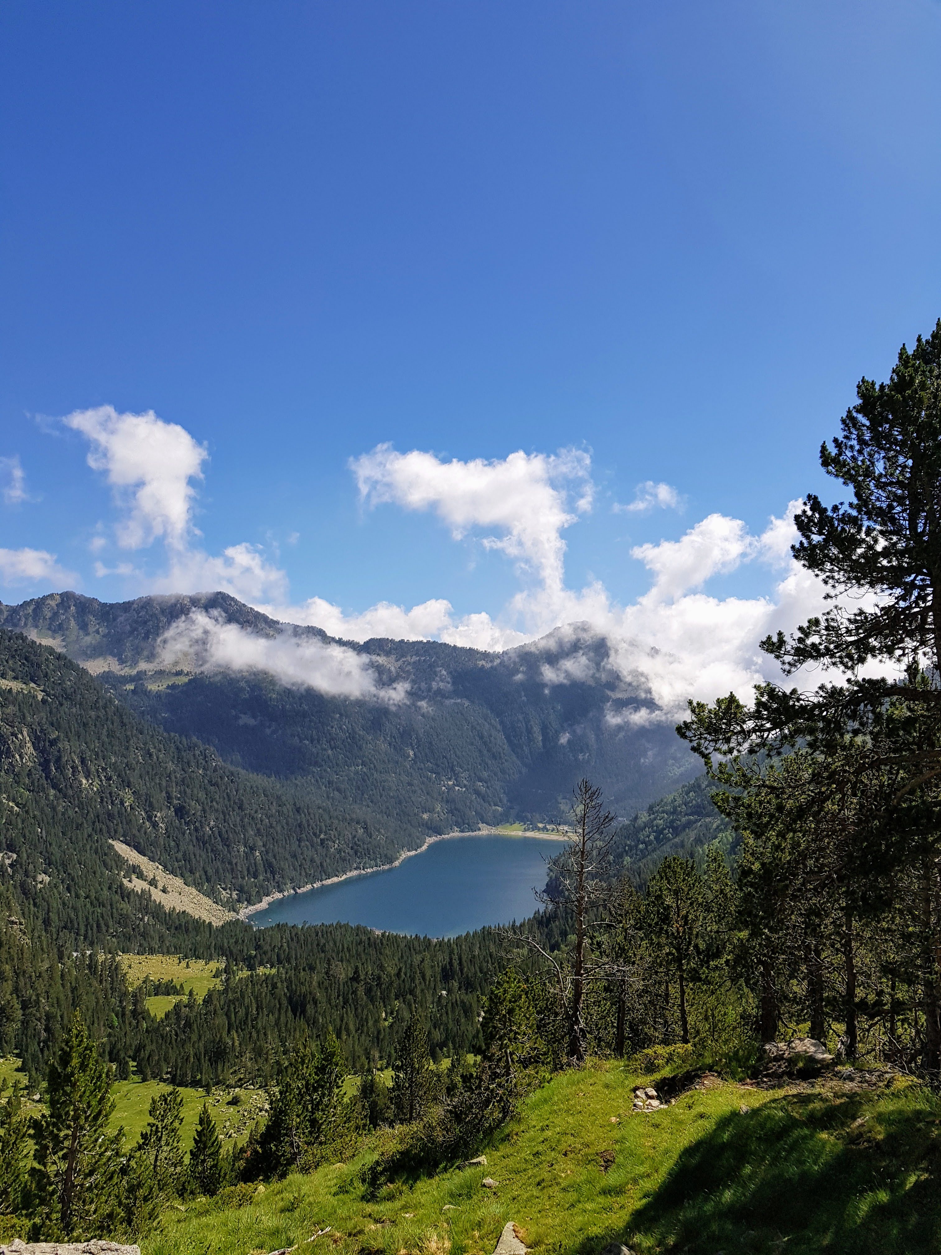 Photo n° 29 de l'avis de albert.u fait le 10/07/2019 à 13:10