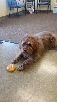 Invisible Fence of the Heartland - Photo 8 - Car repair in Omaha, NE, Omaha