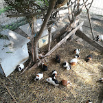 Photo n°12 de l'avis de Ercole.a fait le 23/10/2021 à 13:22 sur le  Ristorante Maneggio Val Tress à Zone