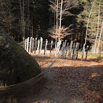 Photo n°42 de l'avis de maurizio.o fait le 19/11/2017 à 22:00 sur le  Ristorante Al Legno à Borgo Valsugana