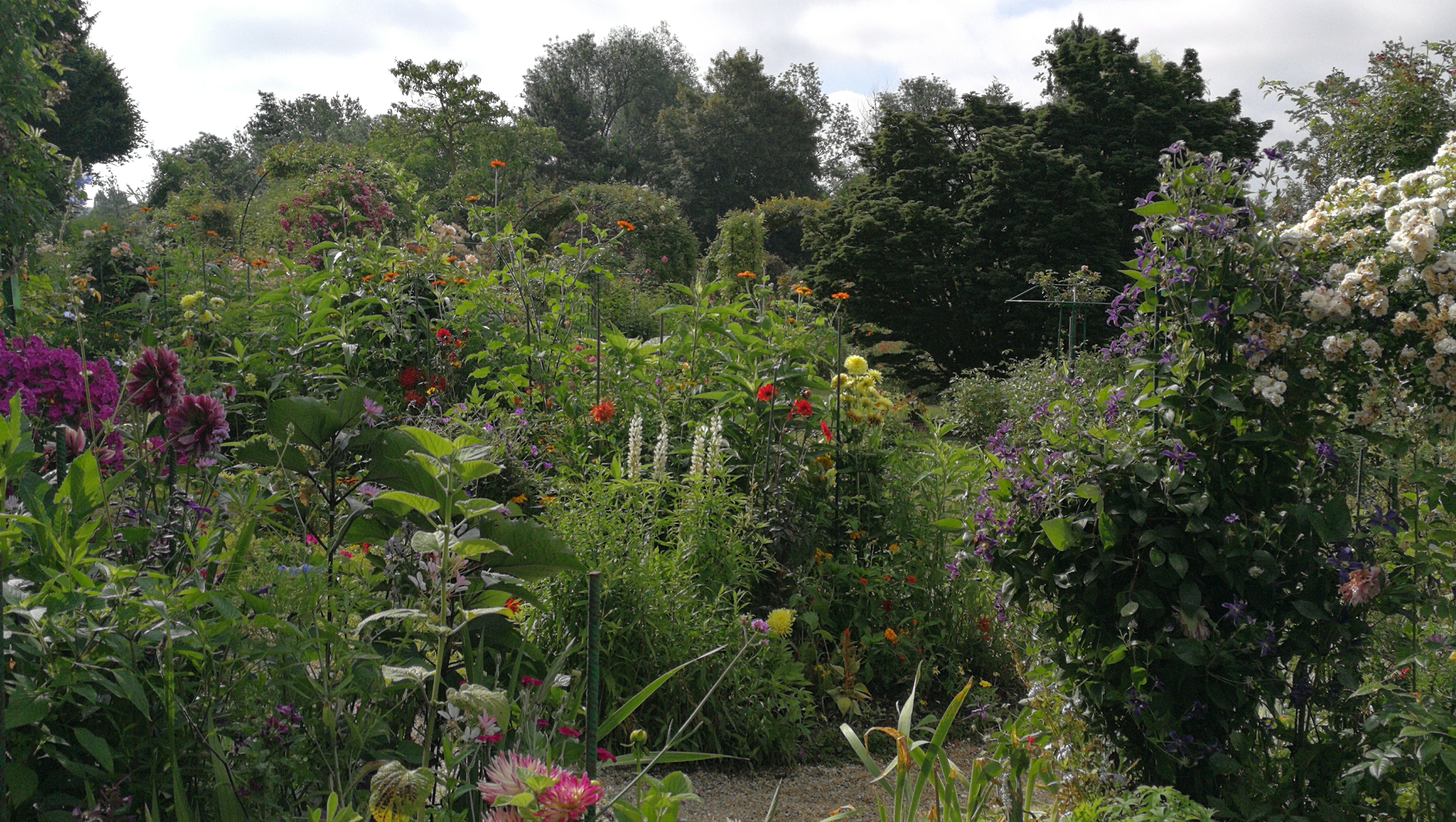 Photo n° 7 de l'avis de barbe.e fait le 10/07/2018 à 17:25