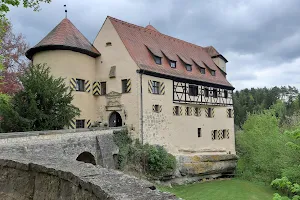 Falconry Burg Rabenstein image