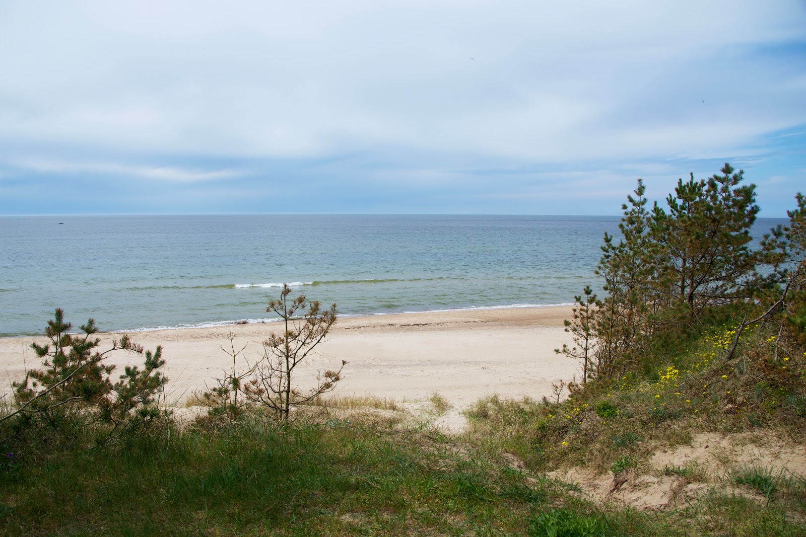 Photo de Ziemupes beach situé dans une zone naturelle