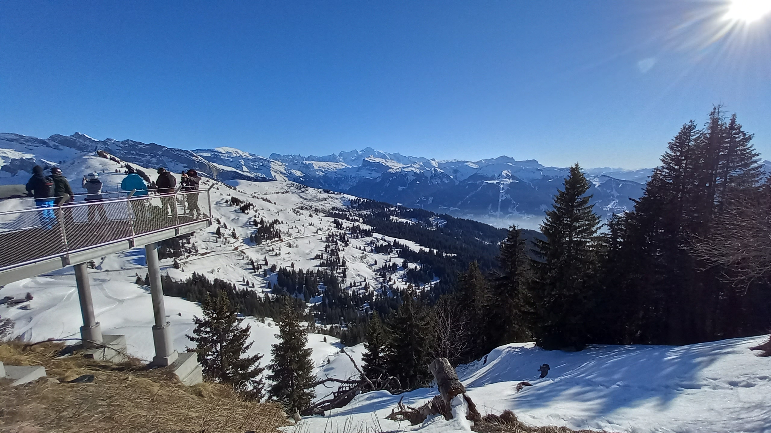 Photo n° 1 de l'avis de moreaux.u fait le 25/01/2022 à 16:36