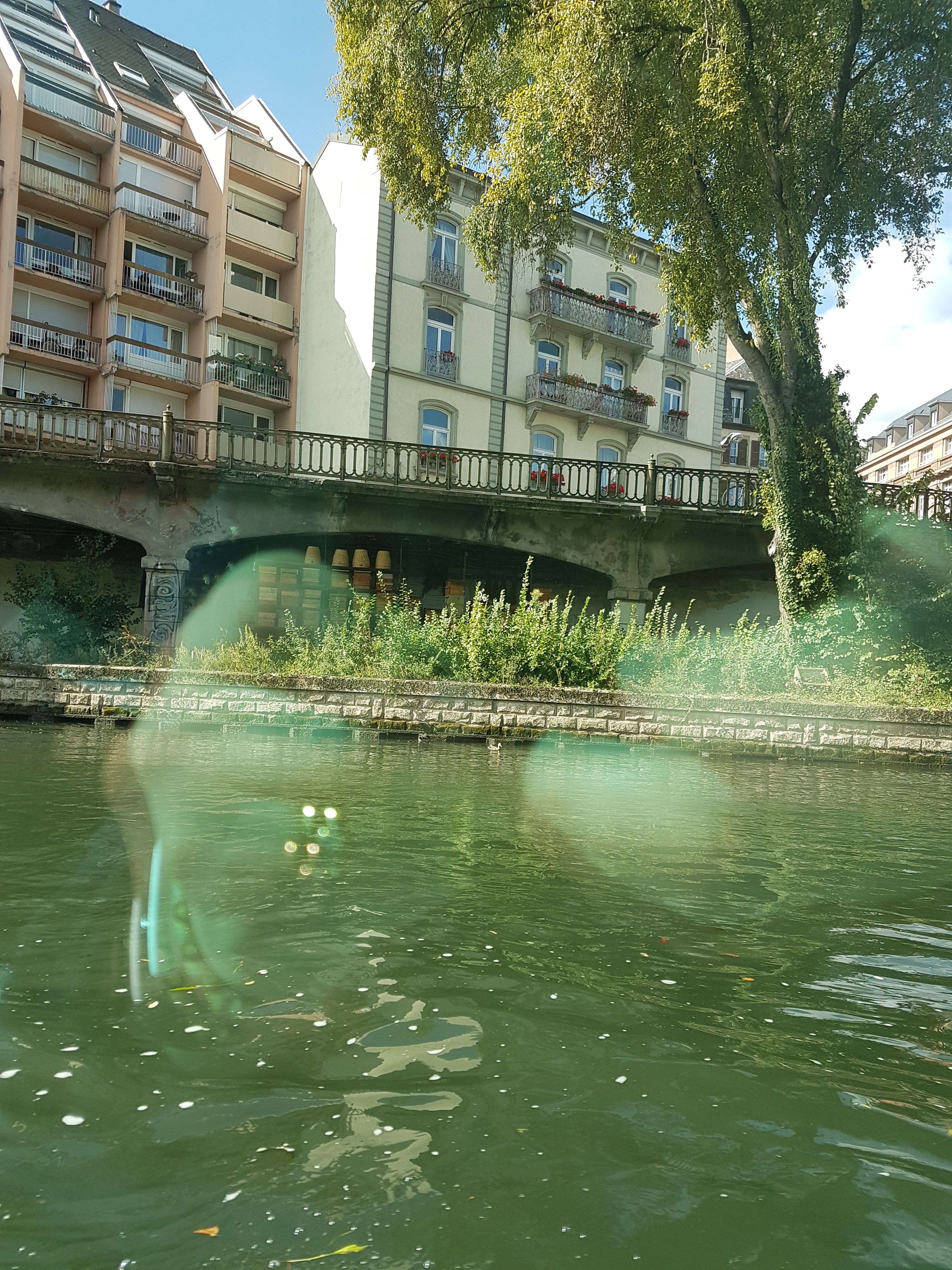Photo n° 12 de l'avis de Sandrine. fait le 24/09/2018 à 14:45