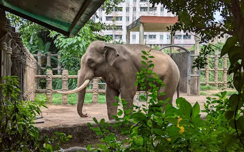 Saigon Zoo and Botanical Garden image