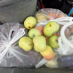 Photo n°9 de l'avis de emanuele.a fait le 03/11/2022 à 08:18 sur le  Corte Acquerta Cecina à Cecina