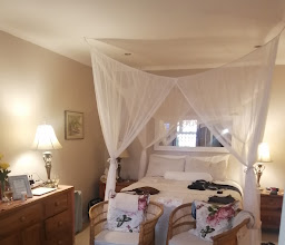 Boulders Beach Hotel, Cafe and Curio Shop photo
