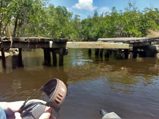 Nature Preserve «Big Cypress National Preserve», reviews and photos