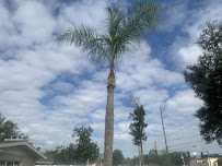 Greenway Tree And Lawn Services Inc - Photo 2 - Car repair in , Orlando