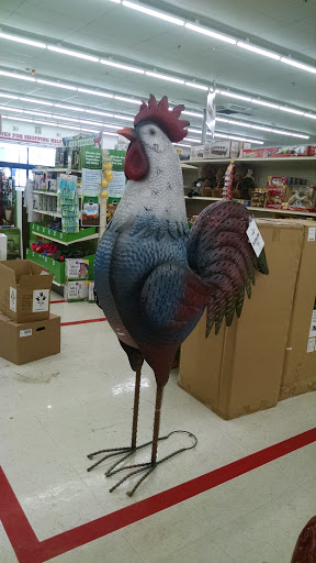 Home Improvement Store «Tractor Supply Co.», reviews and photos, 609 N Dupont Blvd, Milford, DE 19963, USA