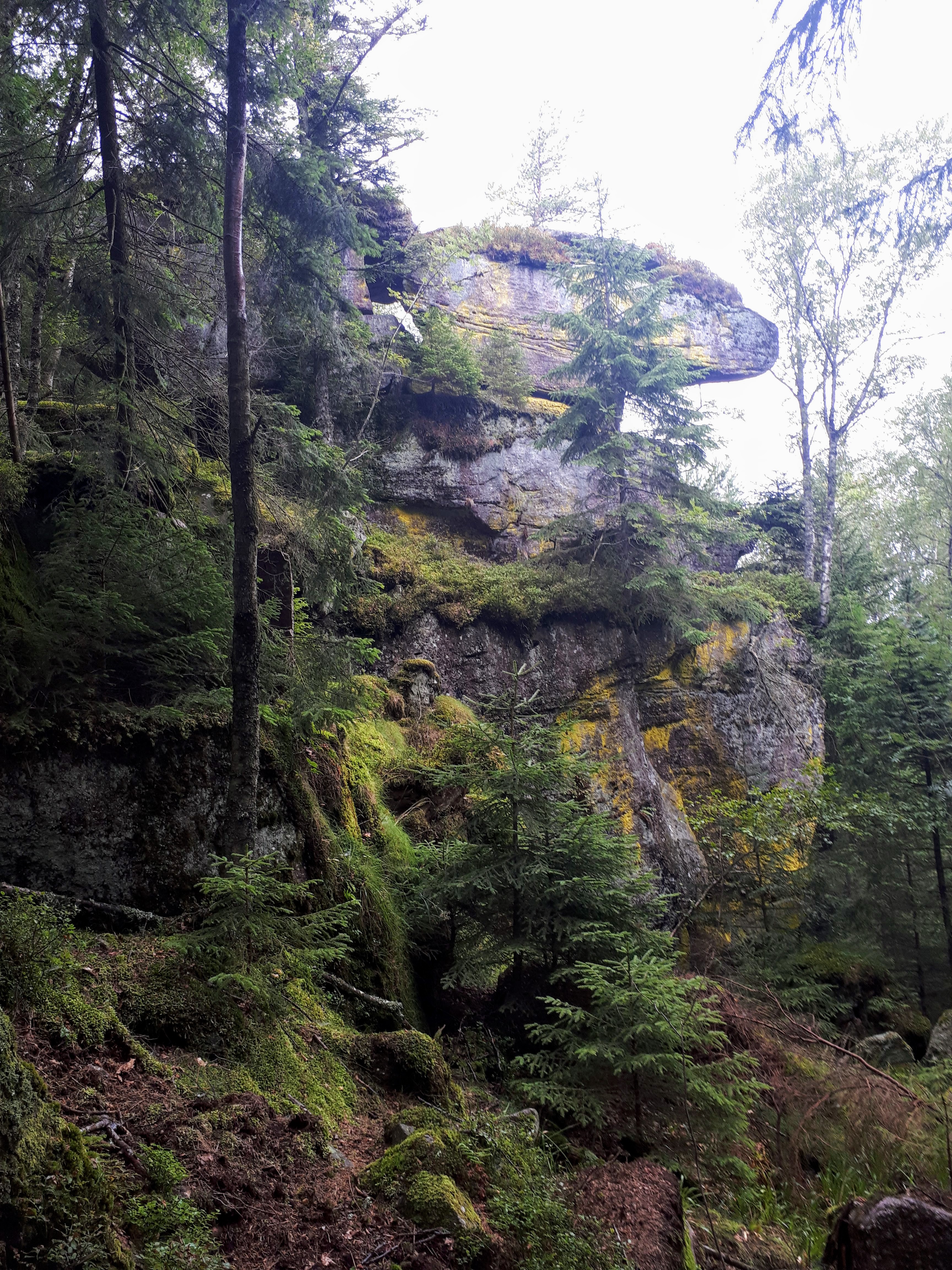 Photo n° 2 de l'avis de Bernard.m fait le 30/09/2019 à 15:36