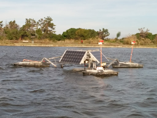 Public Golf Course «Shoreline Golf Links», reviews and photos, 2940 N Shoreline Blvd, Mountain View, CA 94043, USA