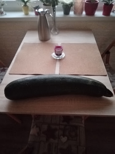 Király Kertészet - Oroszlány