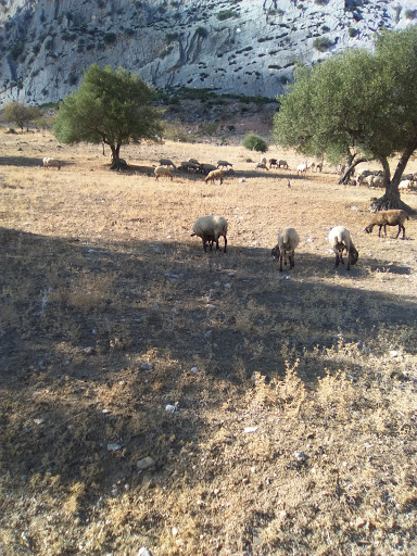 Taller Zaku en Valle de Abdalajís, Málaga