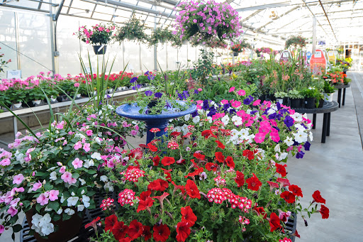 Florist «Dundalk Florist», reviews and photos, 7233 German Hill Rd, Dundalk, MD 21222, USA