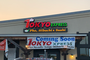 Tokyo Express in Greenville image