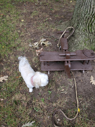 Hardware Store «Great Lakes Ace Hardware», reviews and photos, 5060 Dixie Hwy, Waterford Twp, MI 48329, USA