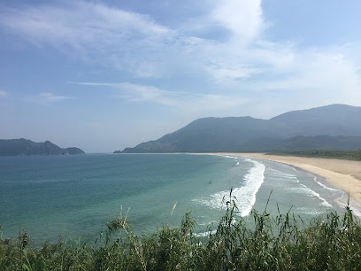 国天然記念物 石波の海岸樹林(日南海岸国定公園)