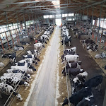 Photo n°2 de l'avis de Kathrin.l fait le 10/05/2023 à 18:37 sur le  Kuhcafe Kauern - Agrargenossenschaft Kauern eG à Kauern