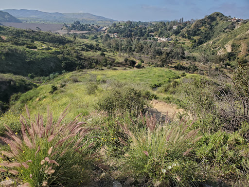 Santa Ana Mountains Trail Head