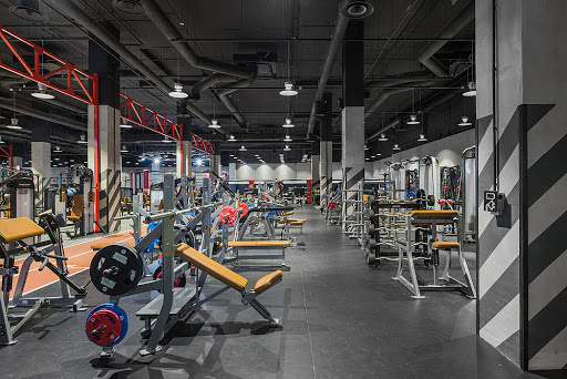 Fitness centers in Moscow