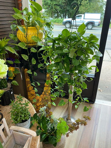 Florist «Sunset Florist», reviews and photos, 470 Bergen Blvd, Ridgefield, NJ 07657, USA