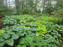 Mosquito Mike - Photo 3 - Car repair in Cranston, RI, Providence