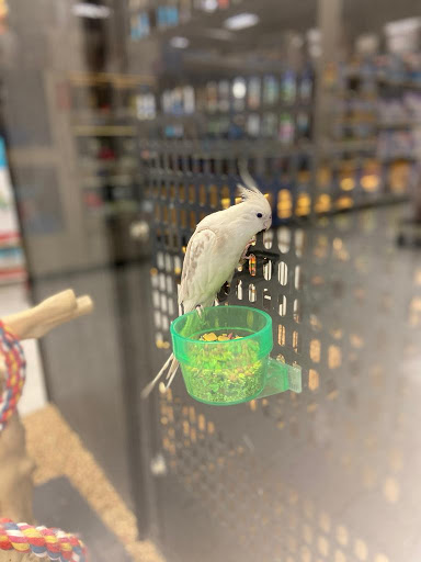 Pet Supply Store «PetSmart», reviews and photos, 5640 Cedar Lake Rd, Minneapolis, MN 55416, USA