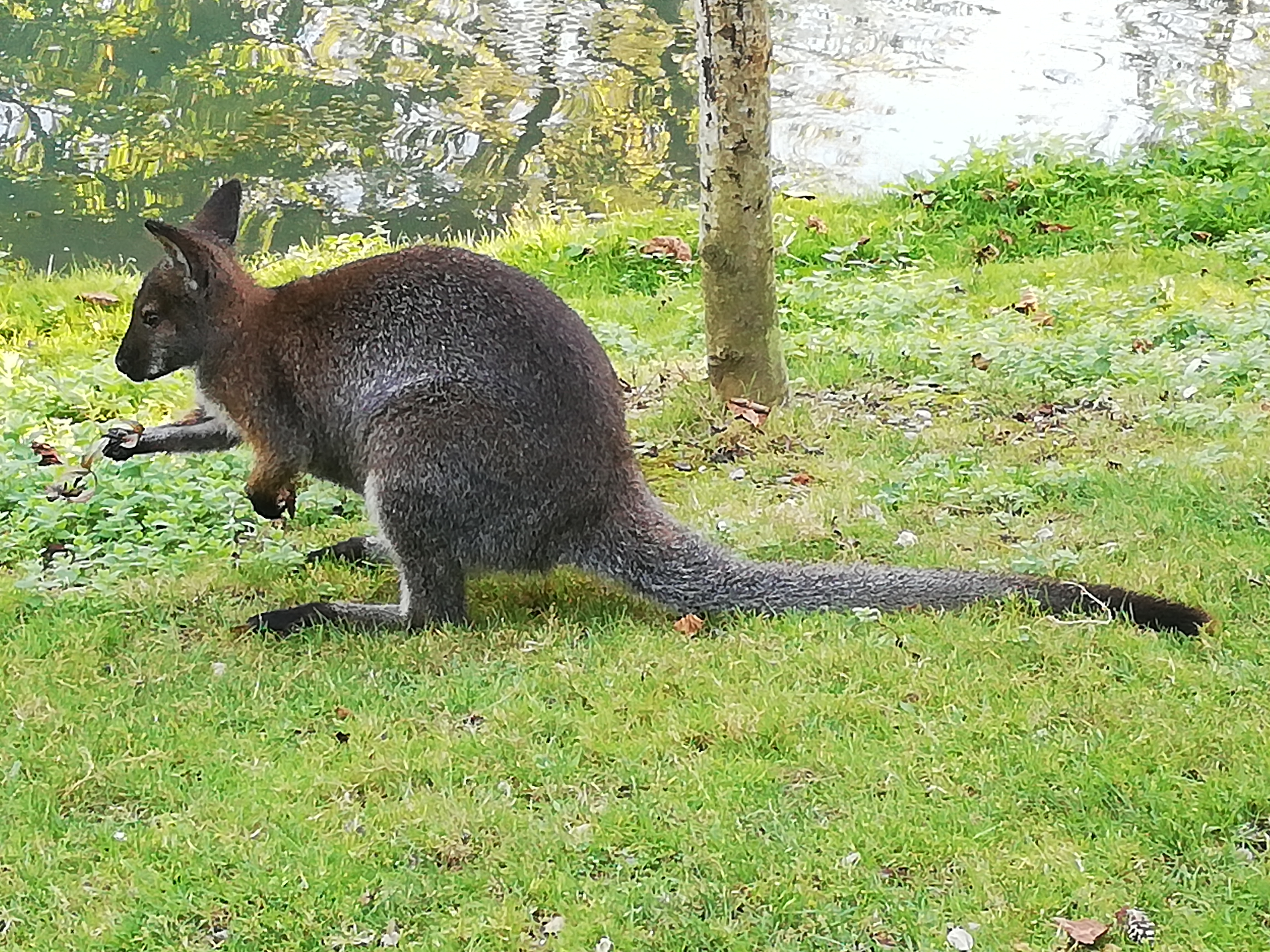 Photo n° 5 de l'avis de Jérôme.r fait le 09/10/2021 à 23:59