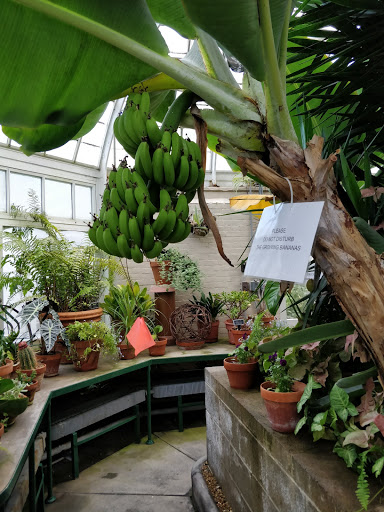 Art Museum «The Frick», reviews and photos, 7227 Reynolds St, Pittsburgh, PA 15208, USA