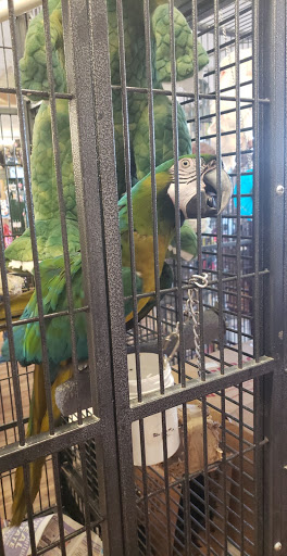 Pet Groomer «Animal Kingdom Grooming», reviews and photos, 339 S Santa Fe Ave, Pueblo, CO 81003, USA