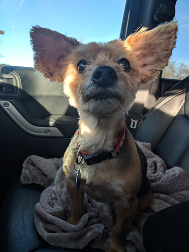 Pet Supply Store «Petco Animal Supplies», reviews and photos, 298 Spring Creek Drive, Franklin, TN 37067, USA