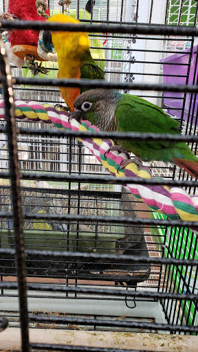 Pet Store «Pets Plus - Quakertown», reviews and photos, 117 S West End Blvd, Quakertown, PA 18951, USA