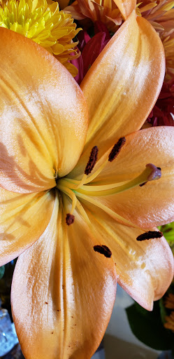 Grocery Store «Stop & Shop», reviews and photos, 1360 E Town Rd, Milford, CT 06460, USA