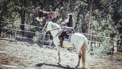 Parc Animalier Les Aigles du Verdon à Gréoux-les-Bains