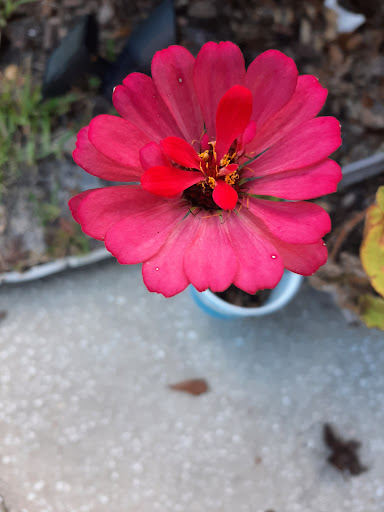 Golf Club «The Golf Club at South Hampton», reviews and photos, 315 S Hampton Club Way, St Augustine, FL 32092, USA