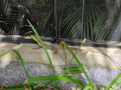 Zoo «Palm Beach Zoo & Conservation Society», reviews and photos, 1301 Summit Blvd, West Palm Beach, FL 33405, USA