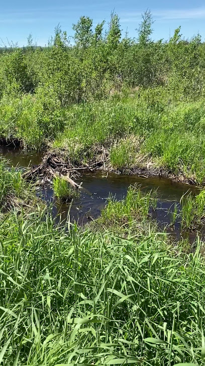 Darwin S. Myers Wildlife Management Area