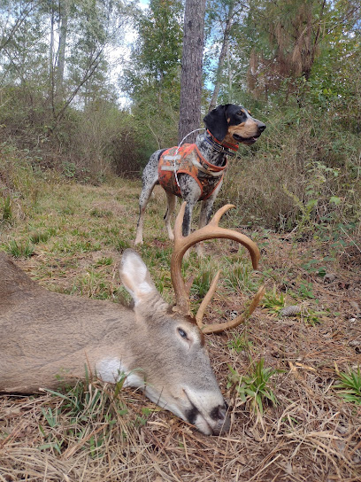Deer tracking dog Services