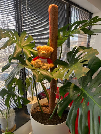 Auto Insurance Agency «State Farm: Brian Finanu200e», reviews and photos