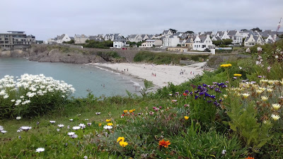 Parc naturel Marin d'Iroise à Le Conquet