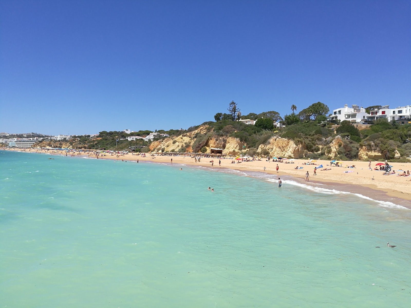 Praia dos Alemaes'in fotoğrafı imkanlar alanı