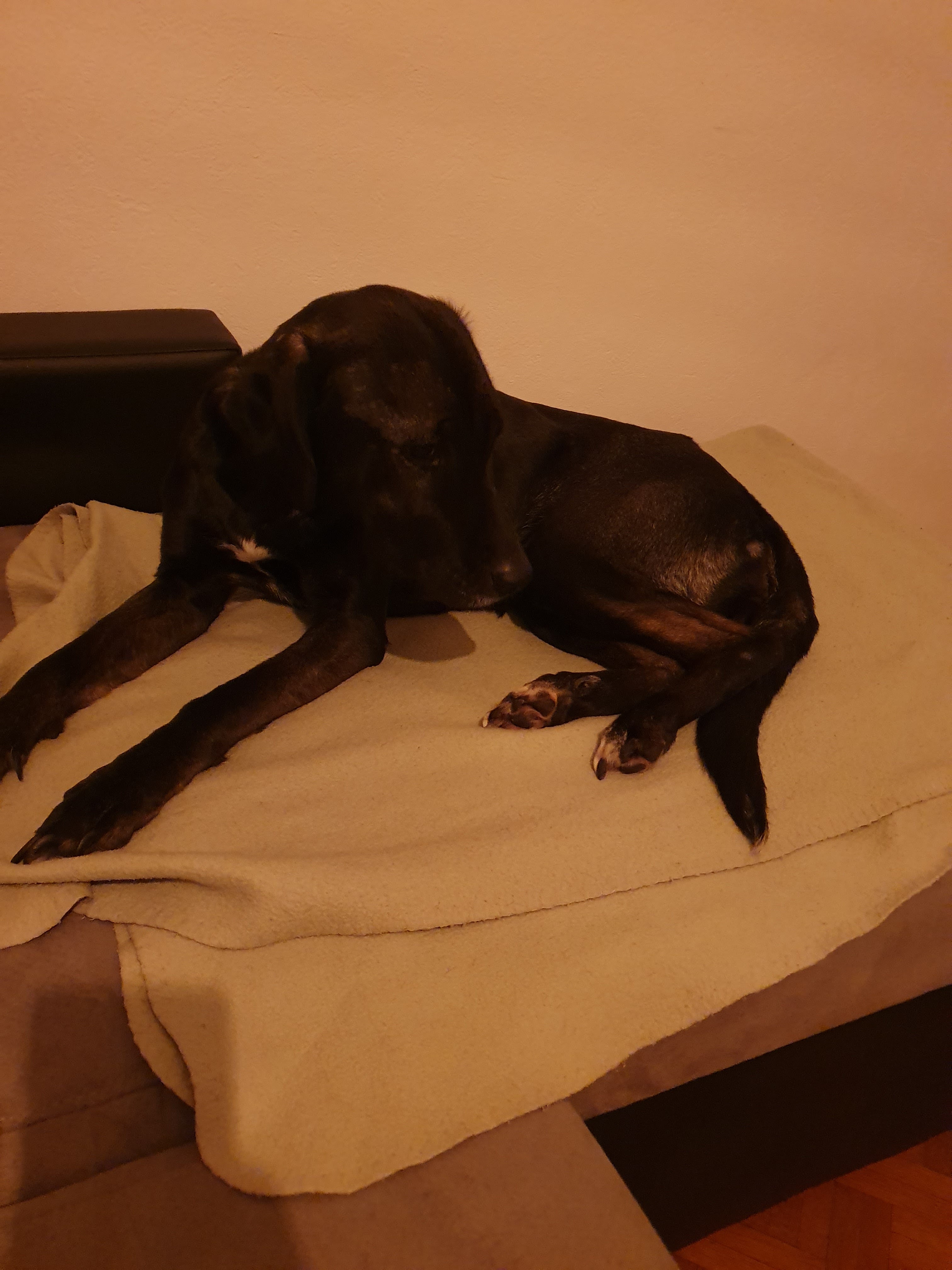 Photo n° 5 de l'avis de The.a fait le 21/01/2020 à 17:27