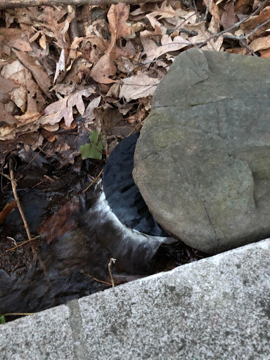 Plumber «Roto-Rooter Plumbing & Drain Services», reviews and photos, 80 Veronica Ave #100, Somerset, NJ 08873, USA